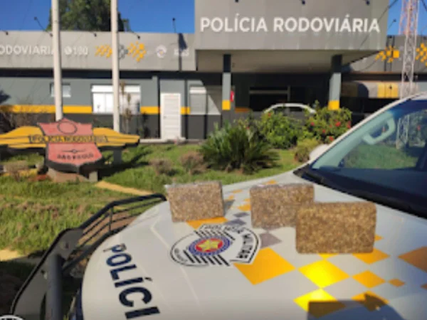 Polícia prende mulher que transportava tijolos de “k9” em Araçatuba