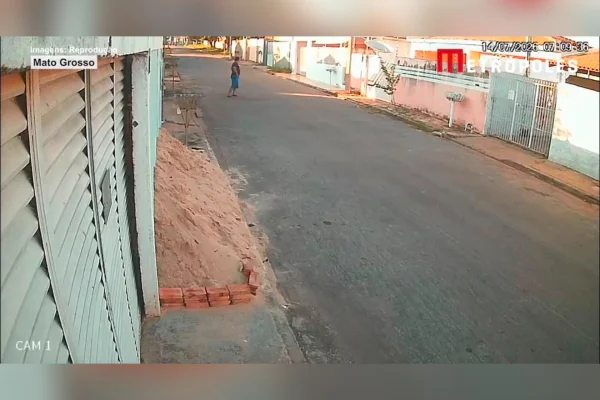 Homem mata gato a pauladas em MT: “Defecava perto da cozinha”