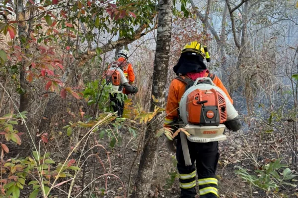 Foto colorida de brigadistas combatendo o fogo na Chapada dos Veadeiros - Metrópoles