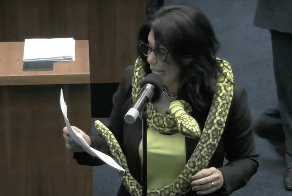 Deputada vai à Alerj com cobra de pelúcia no ombro