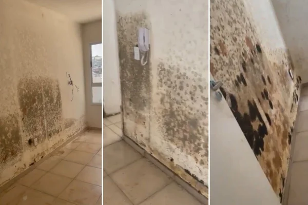 Imagens mostram paredes de apartamento mofada