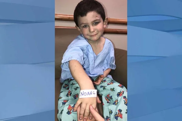 Garoto de 5 anos salva irmã de incêndio e volta para resgatar cão