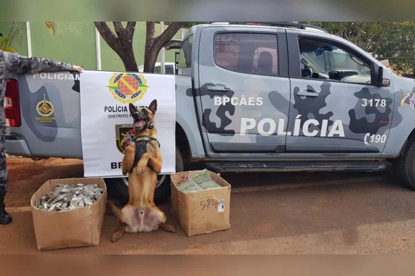 cachorro com drogas apreendidas