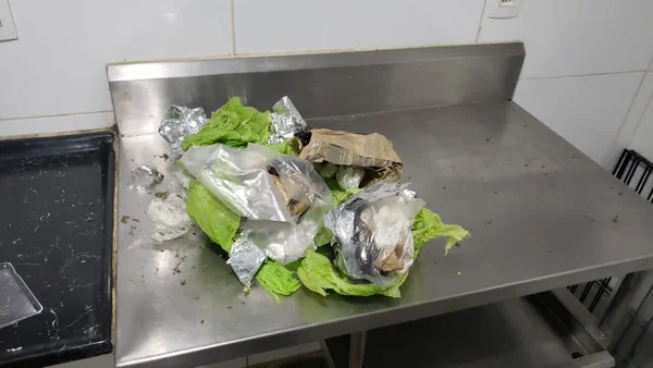 PCDF prende grupo que vendia maconha “gourmet” na UnB e redes sociais