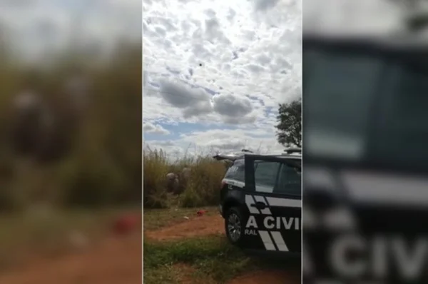 viatura no matagal