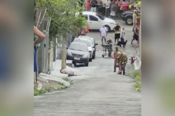 Homem que sofreu ataque de abelhas no Rio também fraturou os dois pés