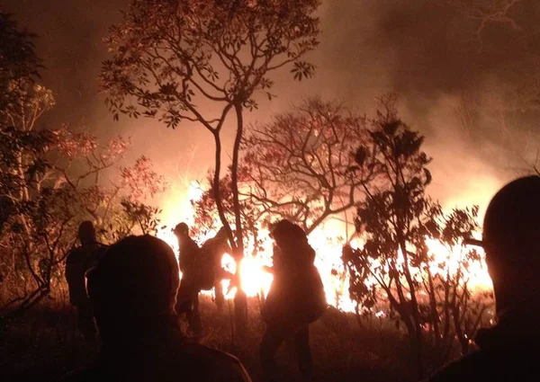 Em chamas, Chapada dos Veadeiros deve ficar fechada no fim de semana