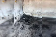Suspeito de matar e incendiar corpo de vítima em casa abandonada é preso - imagem 2 Suspeito de matar e incendiar corpo de vítima em casa abandonada é preso - imagem 2
