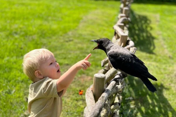 menino Otto e corvo Russell