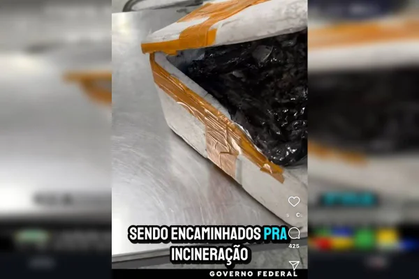 Bagagem podre de passageiro da China é apreendida ao chegar ao Brasil