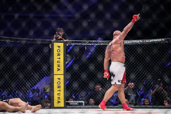 Evento de MMA tem nocaute de gigante e lesões graves; cenas fortes