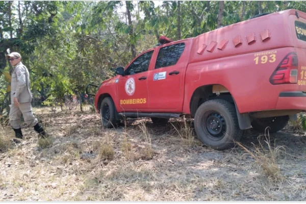 Imagem colorida dos Bombeiros que flagraram a ação e autuou o suspeito - Metrópoles