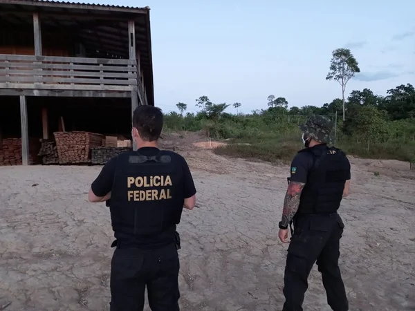 PF desarticula quadrilha que desmatava ilegalmente áreas do Pará