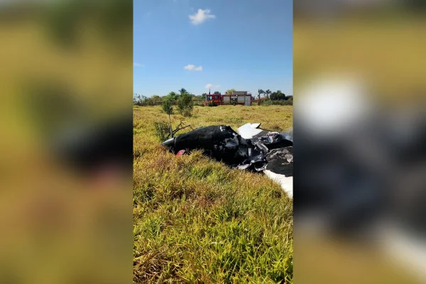 Veja novas imagens de queda de avião e salvamento de piloto em BH - destaque galeria