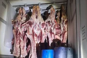 A Secretaria de Economia do DF apreendeu 27 toneladas de carne bovina transportadas com nota fiscal irregular durante operação de combate à sonegação fiscal realizada entre 4 e 8 de maio A Secretaria de Economia do DF apreendeu 27 toneladas de carne bovina transportadas com nota fiscal irregular durante operação de combate à sonegação fiscal realizada entre 4 e 8 de maio