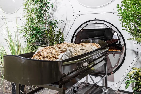 Tumba de compostagem com restos humanos - Metrópoles