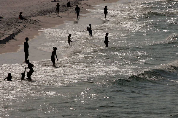imagem colorida mostra pessoas em praia na florida ataques de tubarão - Metrópoles