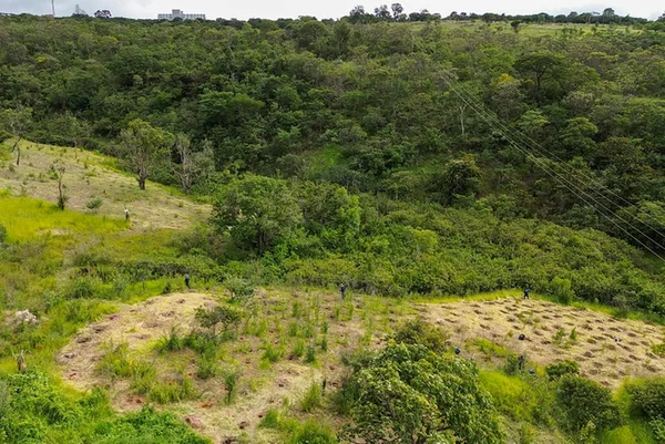 Veja quais são os imóveis que foram retirados da lei de socorro ao BRB