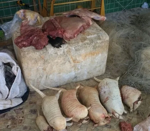Caçadores são presos com animais silvestres abatidos em Planaltina
