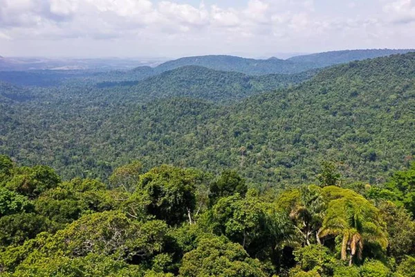 Foto colorida da Floresta Nacional de Carajás - Metrópoles