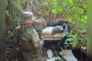 As equipes também localizaram cerca de 84 hectares de plantações de coca e destruíram aproximadamente quatro toneladas de folhas de coca em processo de beneficiamento As equipes também localizaram cerca de 84 hectares de plantações de coca e destruíram aproximadamente quatro toneladas de folhas de coca em processo de beneficiamento