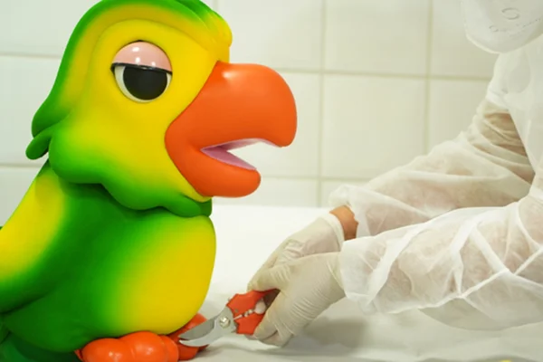 Lourinho, filho do mascote do programa Mais Você, Louro José, é submetido a testes de DNA. Na foto, uma enfermeira corta um pedaço de sua unha com alicate usando uniforme apropriado - Metrópoles