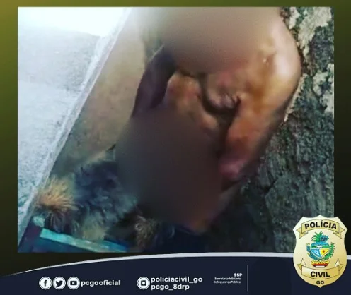 goias idoso zoofilia