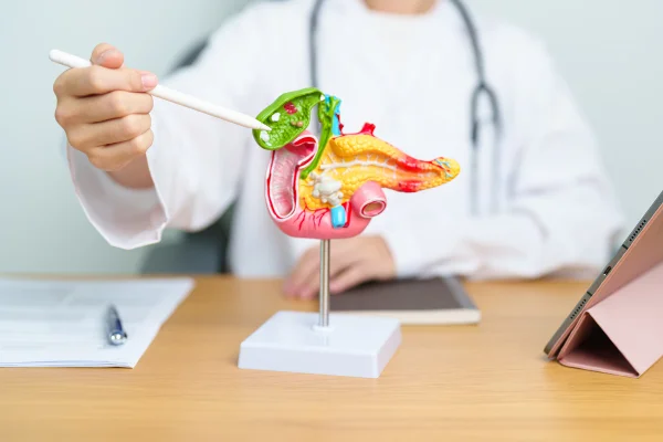 Médicos apontam quais alimentos têm potencial de inflamar o pâncreas