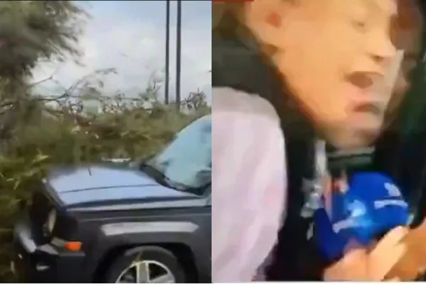 Repórter atropelada ao vivo atualiza estado de saúde: “Um milagre”