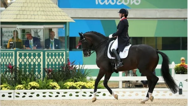 Sérgio Oliva ganha primeira medalha no hipismo para o Brasil