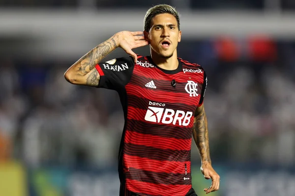 Flamengo Pedro soco comissão técnica demissão
