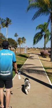 Sempre de coleira, Nalu e João passeiam pelo Noroeste até 3 vezes ao dia Sempre de coleira, Nalu e João passeiam pelo Noroeste até 3 vezes ao dia