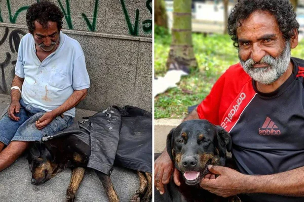 montagem com duas fotos de homem sentado com cachorro