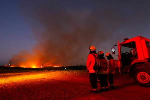 DF: queimadas devastaram área equivalente a 3 regiões administrativas