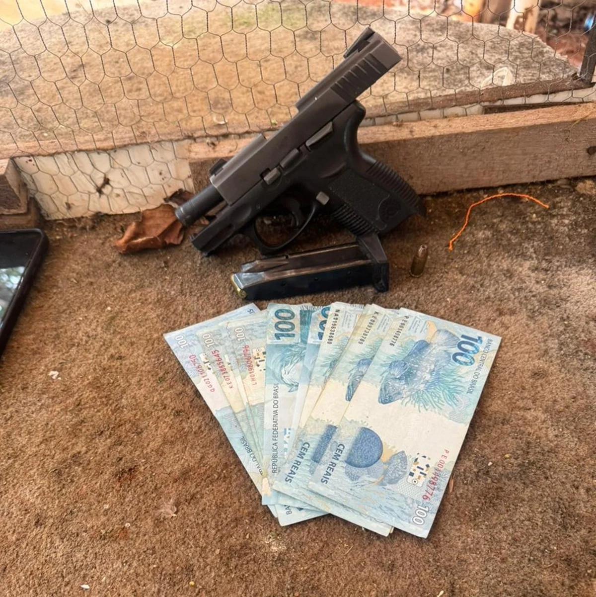 Rinha de galos é fechada no DF; cerca de 40 animais foram resgatados 9 Além dos animais, uma arma de fogo foi apreendida no local