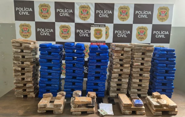 Imagem mostra tijolos de maconha - Metrópoles