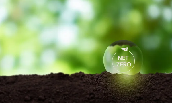 Carbono zero