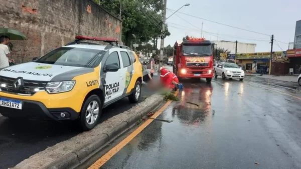 Pedestre morre atacado por pit-bull após cachorro escapar em Curitiba