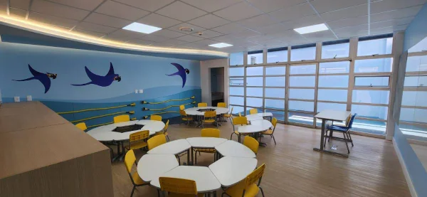 Educação infantil: momento de construir as bases do indivíduo
