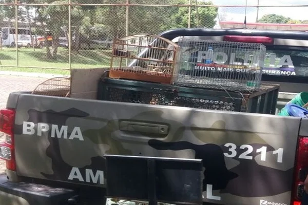 PMDF prende homem por criação irregular de aves silvestres