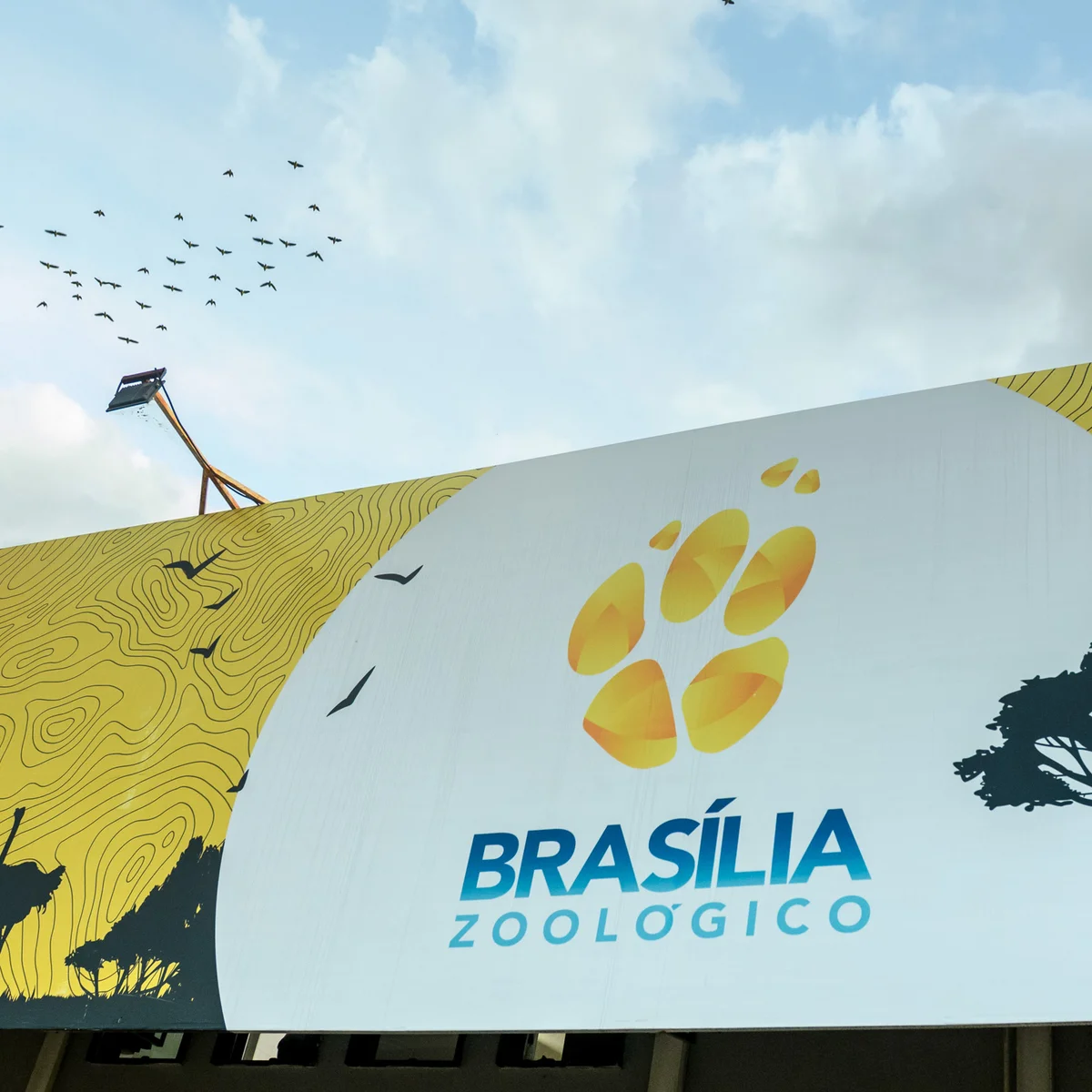 Zoo de Brasília divulga atrações especiais para aniversário da capital