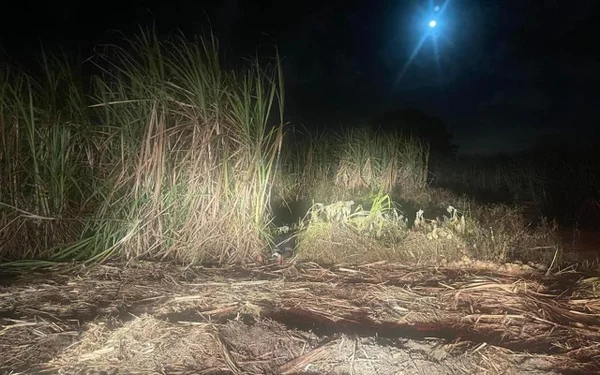 Imagem colorida de local onde homem escondeu corpo de vizinho em Alagoas - Metrópoles