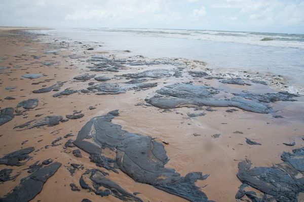 Manchas de óleo: Caixa paga auxílio a pescador a partir desta 2ª