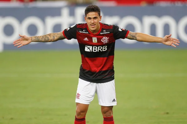 Pedro Flamengo