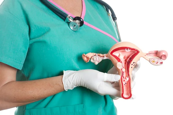 Foto colorida de médica segurando representação de útero - Ninfoplastia