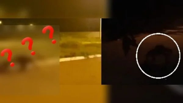 Mistério do “lobisomem” em Bonito (MS) é desvendado. Veja o que era