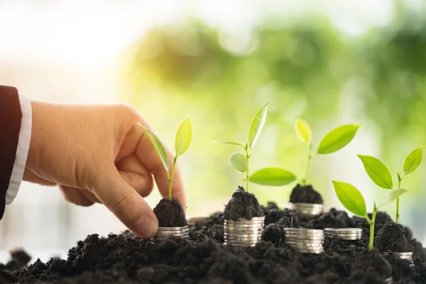 Plano de Transformação Ecológica pode elevar PIB em 27% até 2030