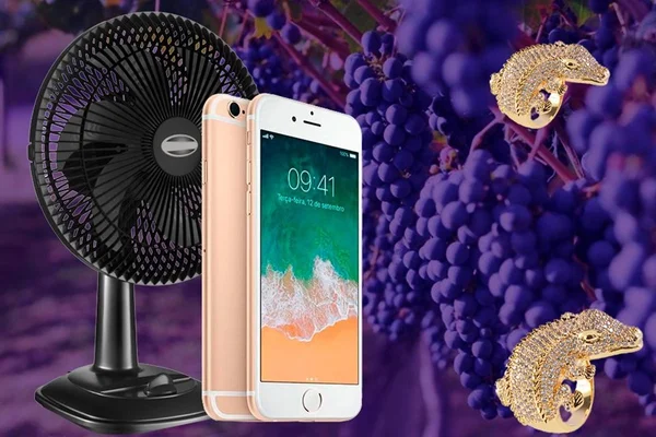 Anel de jacaré, iPhone e ventilador: veja bens declarados nas Eleições 2020