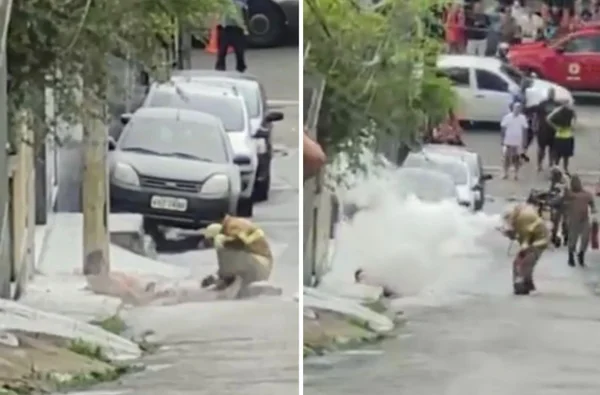 Vídeo mostra resgate de homem ferido por 1.500 ferroadas de abelha