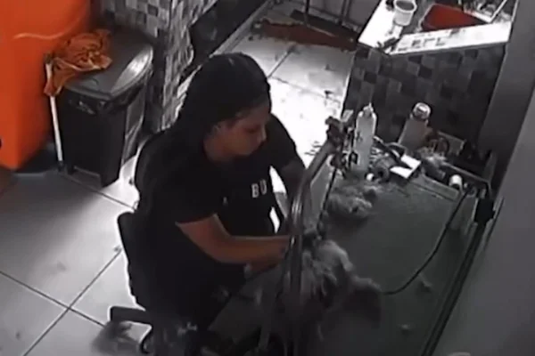 Cenas fortes: mulher mata cachorro de 8 meses em pet shop do DF